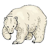 clearBGbear.png
